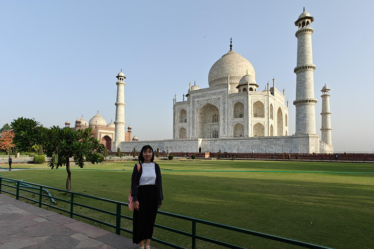 Delhi: Taj Mahal, wycieczka samochodem do centrum ratowania słoni i niedźwiedziTylko wycieczka z przewodnikiem - bez samochodu, biletów wstępu i posiłków