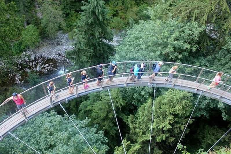 Pont Suspendu Capilano Sites Et Monuments Le Meilleur De