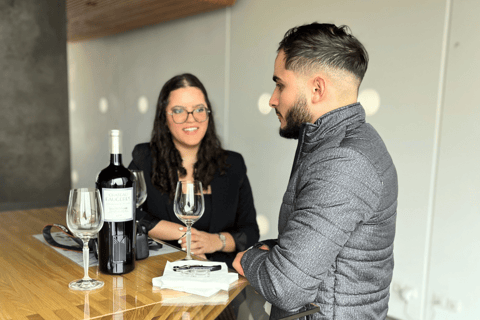 Bordeaux: Tour dei vini e dei vigneti di Saint-Émilion