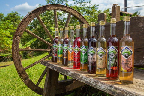 Paraty: 4x4 tour with a visit to a cachaça distillery and optional lunch Paraty: 4x4 Tour with Visit to a Cachaça Distillery and Optional Lunch