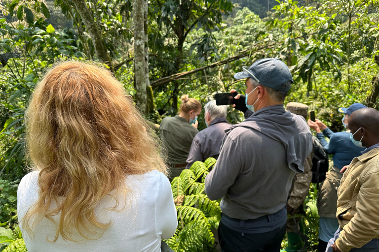 1 journée de randonnée pour les gorilles et le centre de recherche de Karisoke, PN des Volcans