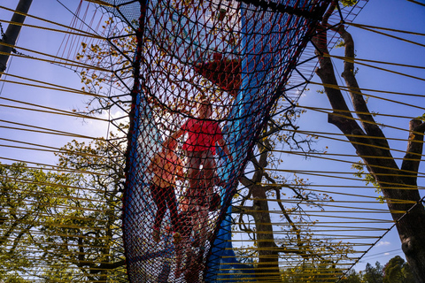 Windermere: Treetop bouncy nets (Treetop Nets)