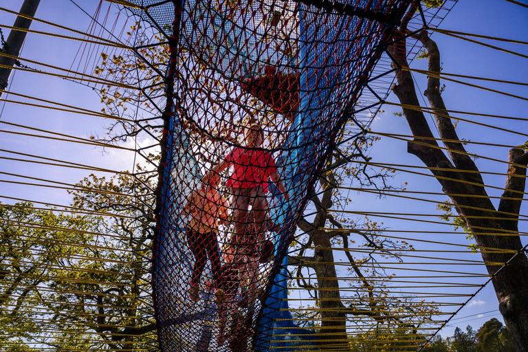 Windermere: Treetop bouncy nets (Treetop Nets)