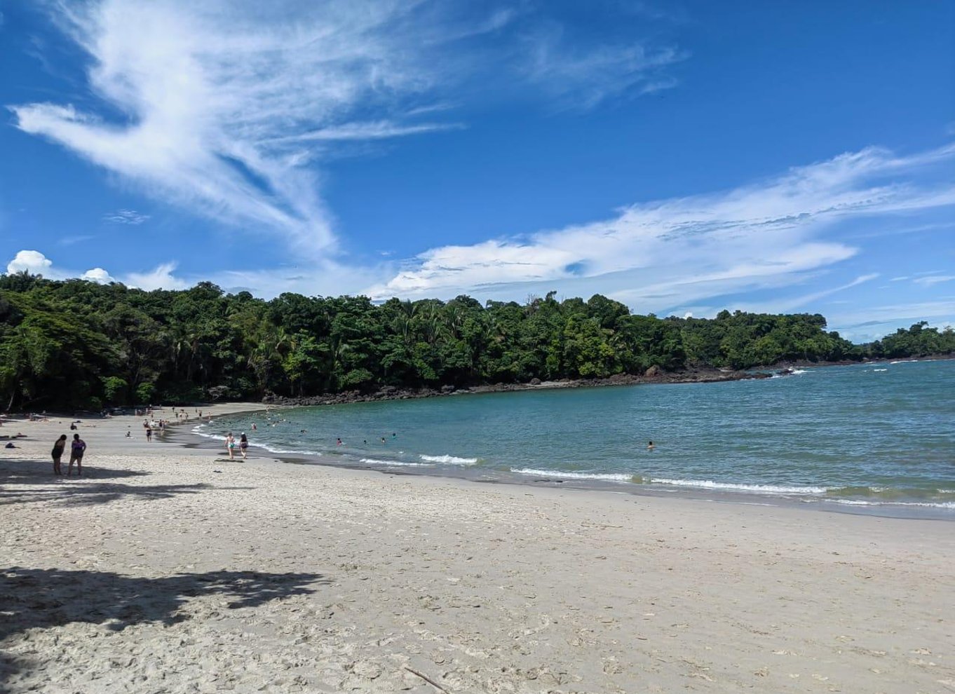 Manuel Antonio Nationalpark: Guidet tur med ENTRÉ INKLUDERET