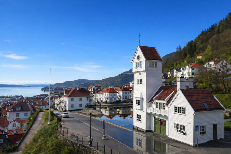 Bergen: Hidden Gems Premium Minibus Tour with Scenic Views