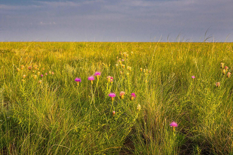 Terelj ,Khar khorum ,Paseo a caballo , Paseo en camello , Monasterio¿Quieres pasar un tiempo ocupado en Mongolia? visitando ,aprendiendo