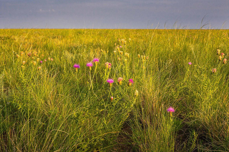 Terelj ,Khar khorum ,Paseo a caballo , Paseo en camello , Monasterio¿Quieres pasar un tiempo ocupado en Mongolia? visitando ,aprendiendo