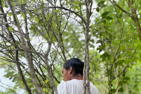 A Day of Cultural Visit to an Indigenous Community near Santa Marta