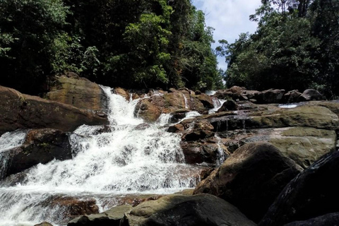 From Colombo: Kanneliya Rainforest Waterfalls Tour with Swim