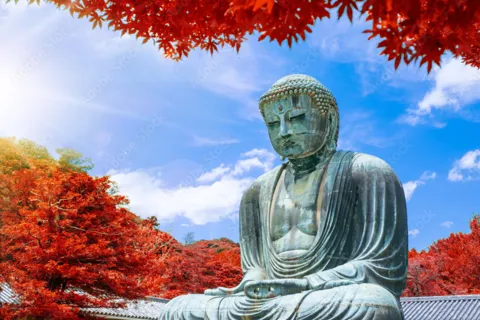 De Tóquio: Kamakura, Hachimangu, Enoshima Viagem de 1 dia privada.