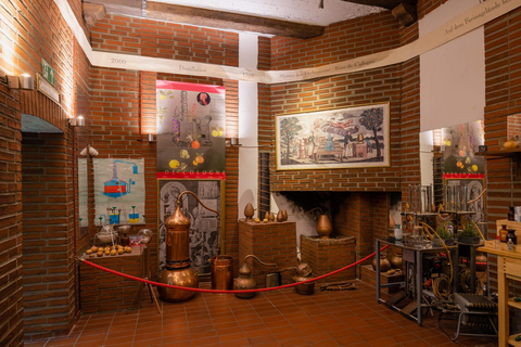 Eau de Cologne: tour a piedi sulla fragranza di Colonia