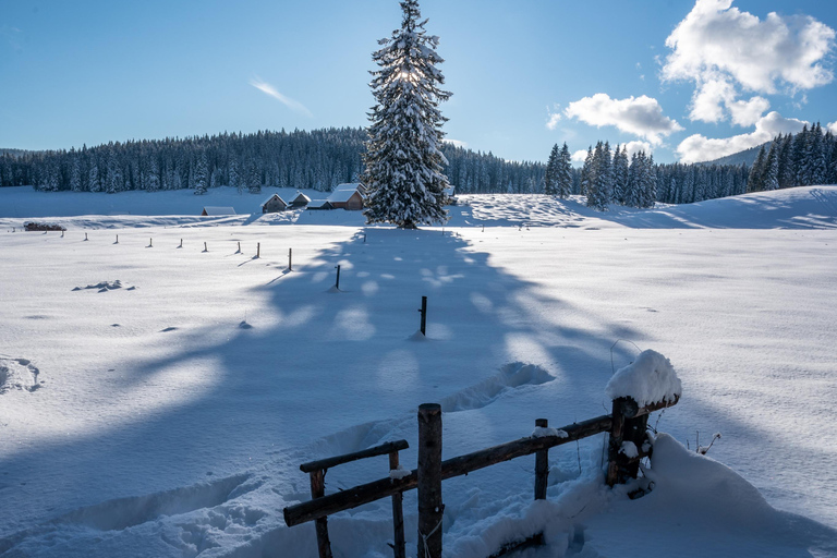From Ljubljana/Bled: Beginner Snowshoe in Julian Alps From Bled - pickup at your accommodation