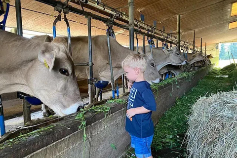 Interlaken: Farm Tour with Swiss Breakfast & Cheese Making