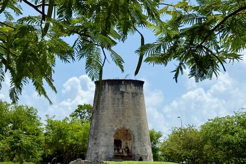 Marie-Galante : Excursion en bateau tout compris, visite, repas et baignade