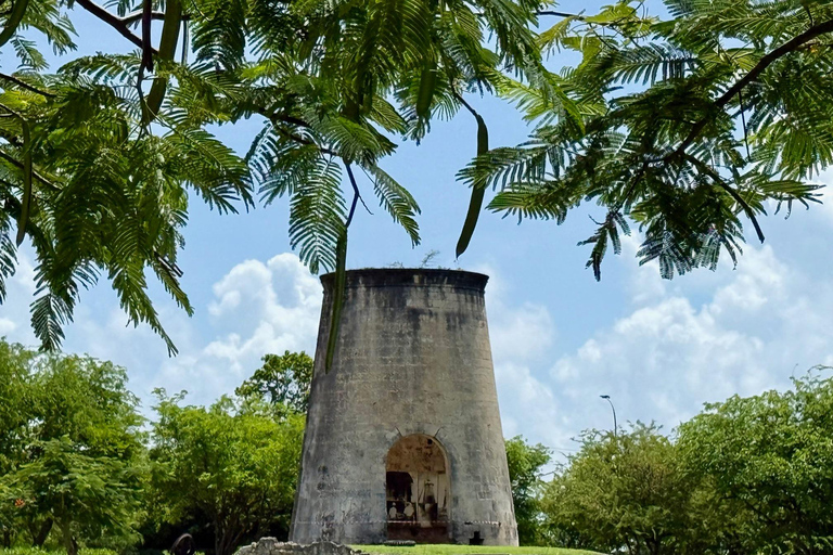 Marie-Galante : Excursion en bateau tout compris, visite, repas et baignade