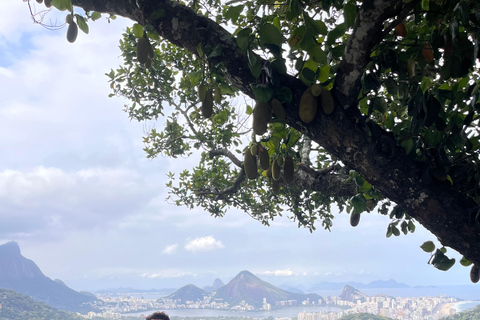 Rio de Janeiro: Rocinha-favelatour med LeroyRio de Janeiro: Rocinha Favela Tour med Leroy