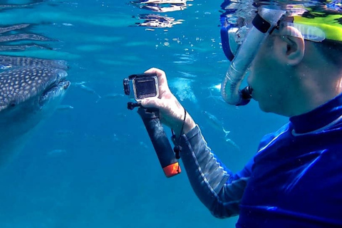 Dumaguete: Oslob Whale Watching Tour with the ruins sidetrip Pick-up outside Dumaguete only