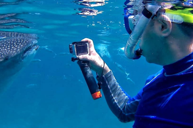 Dumaguete: Oslob Whale Watching Tour with the ruins sidetrip Pick-up outside Dumaguete only