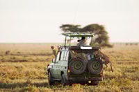 9 días Best of Kenya Wildlife Luxury Safari con vuelos - Housity