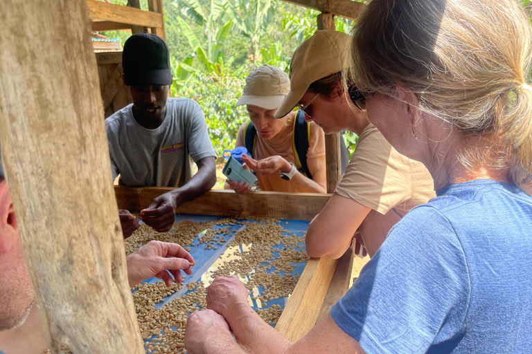 Arusha: Kaffeefarm-Tour mit Verkostung der lokalen Küche