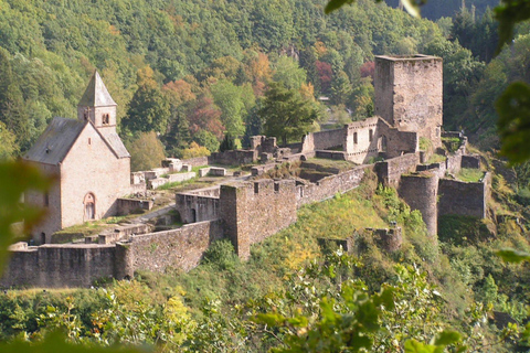 Luxembourg Castles, Forests, River Private Tour (Easy Walks)