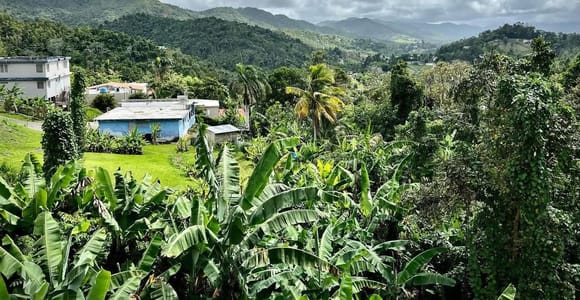 Charco Azul River, 7 Chorros Waterfalls & Guavate Pork Road