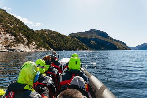 Au départ de Stavanger : Tour touristique en bateau pneumatique dans le Lysefjord