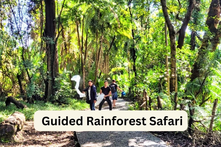 (Copia de) Cataratas Victoria: Tour guiado recomendado Cataratas VictoriaFinal abierto en rainforest cafe