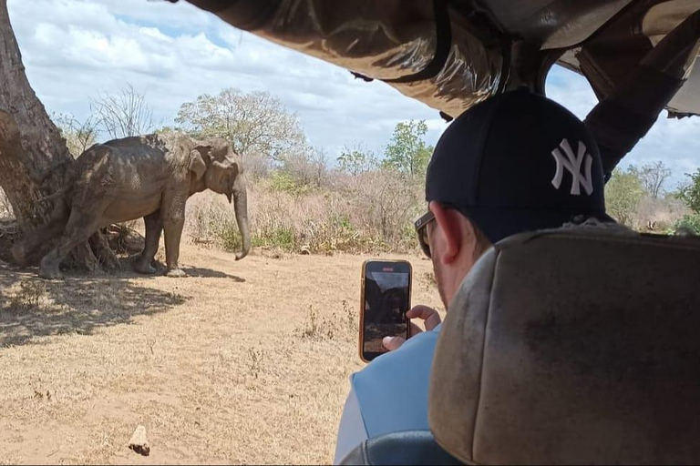 Wycieczka safari do Parku Narodowego Yala z Kolombo / Galle