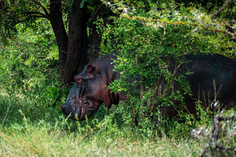 From Zanzibar: Overnight Selous G.R. Safari with Flights shared safari