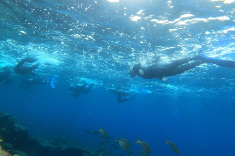 Abades: Excursión de snorkel en una zona marina protegida