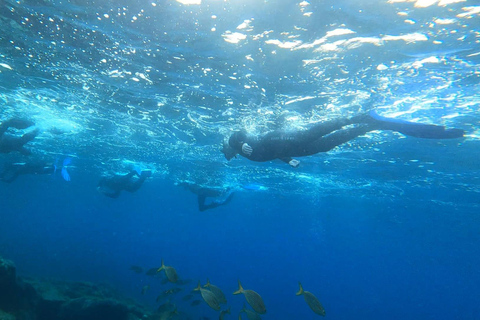 Abades : Excursion de snorkeling dans une zone marine protégée