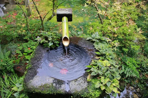 Osaka: Kioto Arashiyama, Sanzen-in, Bamboo Grove, jesienne klonyStacja Kioto Hachijo Wyjdź o 9:50