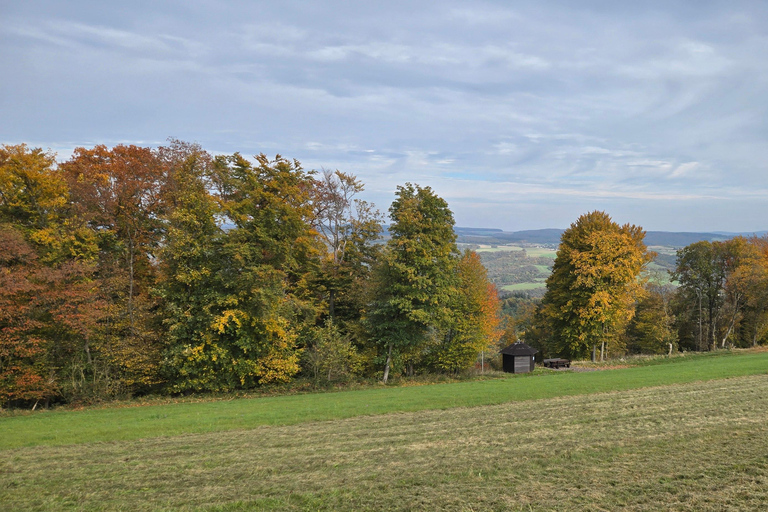 Guided hike on the Rhine Heights Tour St. Quintin