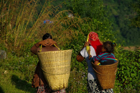 Acampamento Base Annapurna (ABC) - 8 dias