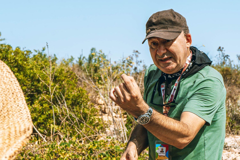 Malta: Gozo Day Trip with Ferry, Lunch, and Bulgarian Guide