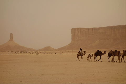 Saudi Arabia: 7-Day Tour Around The Kingdom from Riyadh