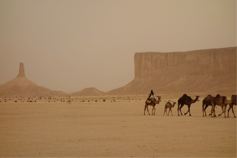 Saudi Arabia: 7-Day Tour Around The Kingdom from Riyadh