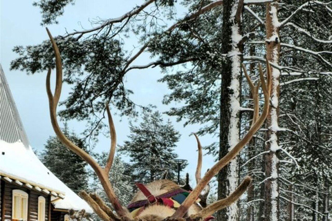 From Rovaniemi: 2-Day Private Lapland Tour with Santa & Zoo