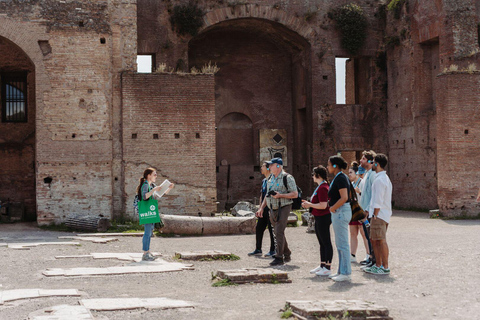 Rome: Colosseum, Roman Forum & Palatine Hill Guided Tour Colosseum, Roman Forum & Palatine Hill Tour in English
