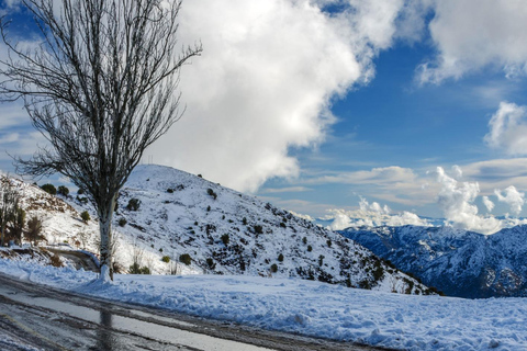 Santiago: Tour to Farellones Park - Chile Santiago: Farellones Park Tour - Chile