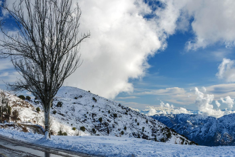 Santiago: Tour to Farellones Park - Chile Santiago: Farellones Park Tour - Chile