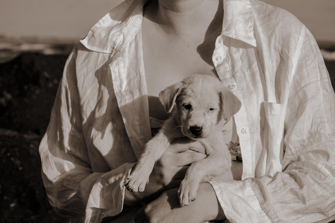 Le paradis des chiots du monde entier — Un bonheur balinais qui a du sensDécouvrez le paradis mondial des chiots à Thalassa Seseh