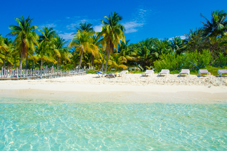 De Cancún: excursion d'une journée en plongée avec tuba et en bateau sur la plage à Isla Mujeres