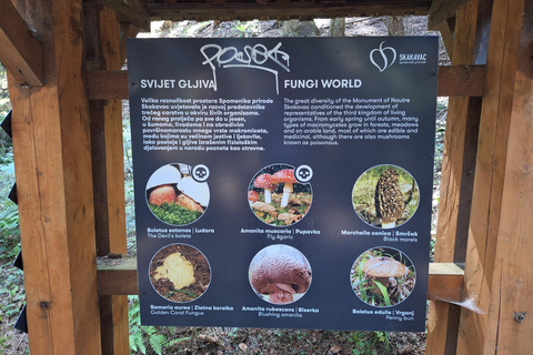 Sarajevo: Skakavac Waterfall Hike with Picnic & Coffee