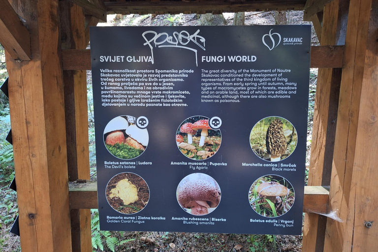 Sarajevo: Skakavac Waterfall Hike with Picnic & Coffee