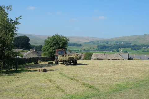 Die Yorkshire Dales-Tour ab YorkAb York: Tour in die Yorkshire Dales