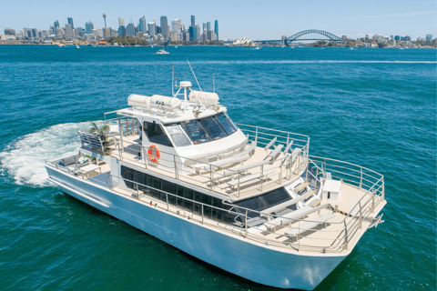 Sydney : Croisière observation des baleines d'aventure