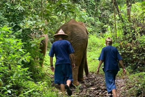 Khao Lak: wyjątkowe doświadczenie etycznego sanktuarium słoni o świcieKhao Lak: wyjątkowe doświadczenie etycznego słonia o świcie