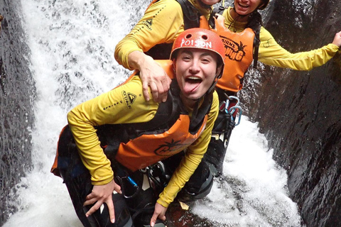 Cairns: Tour d&#039;avventura Crystals &amp; Behana - Canyoning a CairnsEsperienza nella foresta pluviale delle cascate di Cairns Giornata intera avanzata